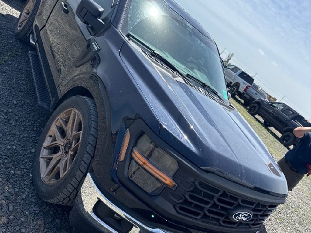 Used 2024 Ford F-150 XL Cab; Regular