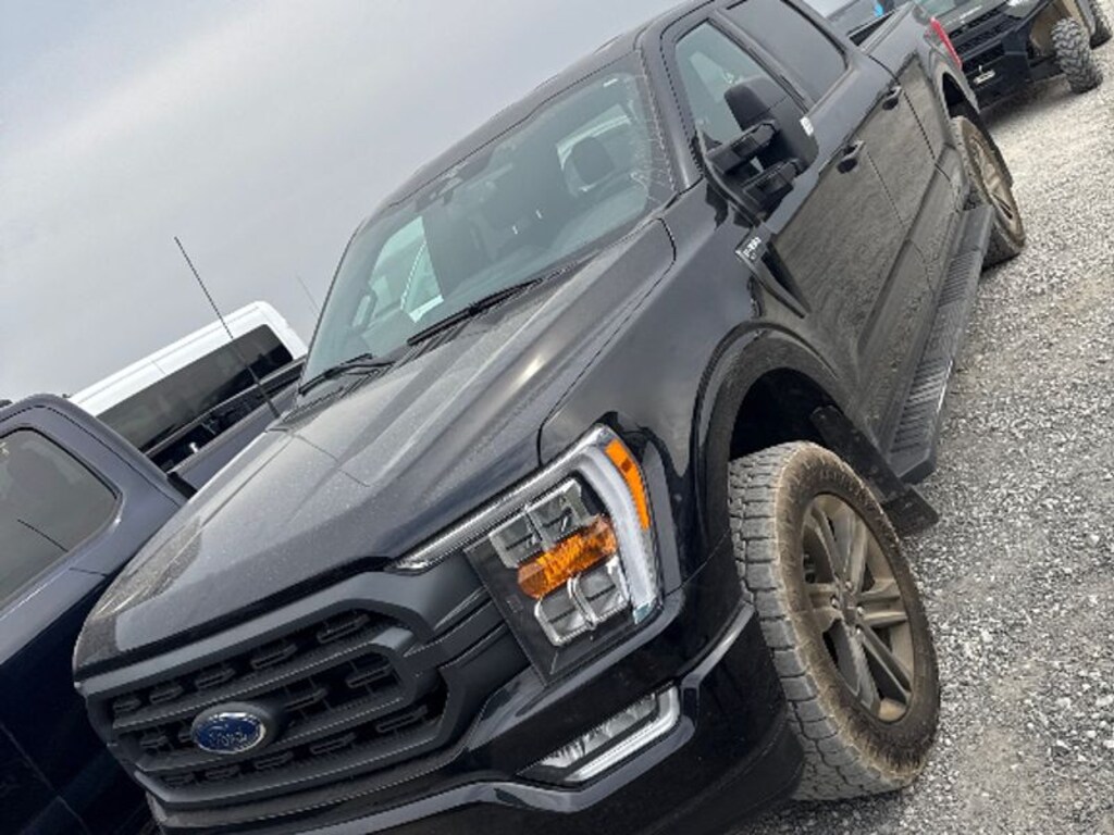 Used 2023 Ford F-150 Cab; Super Crew