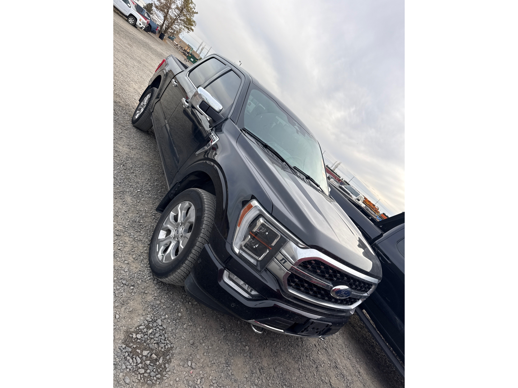 Used 2023 Ford F-150 Cab; Super Crew