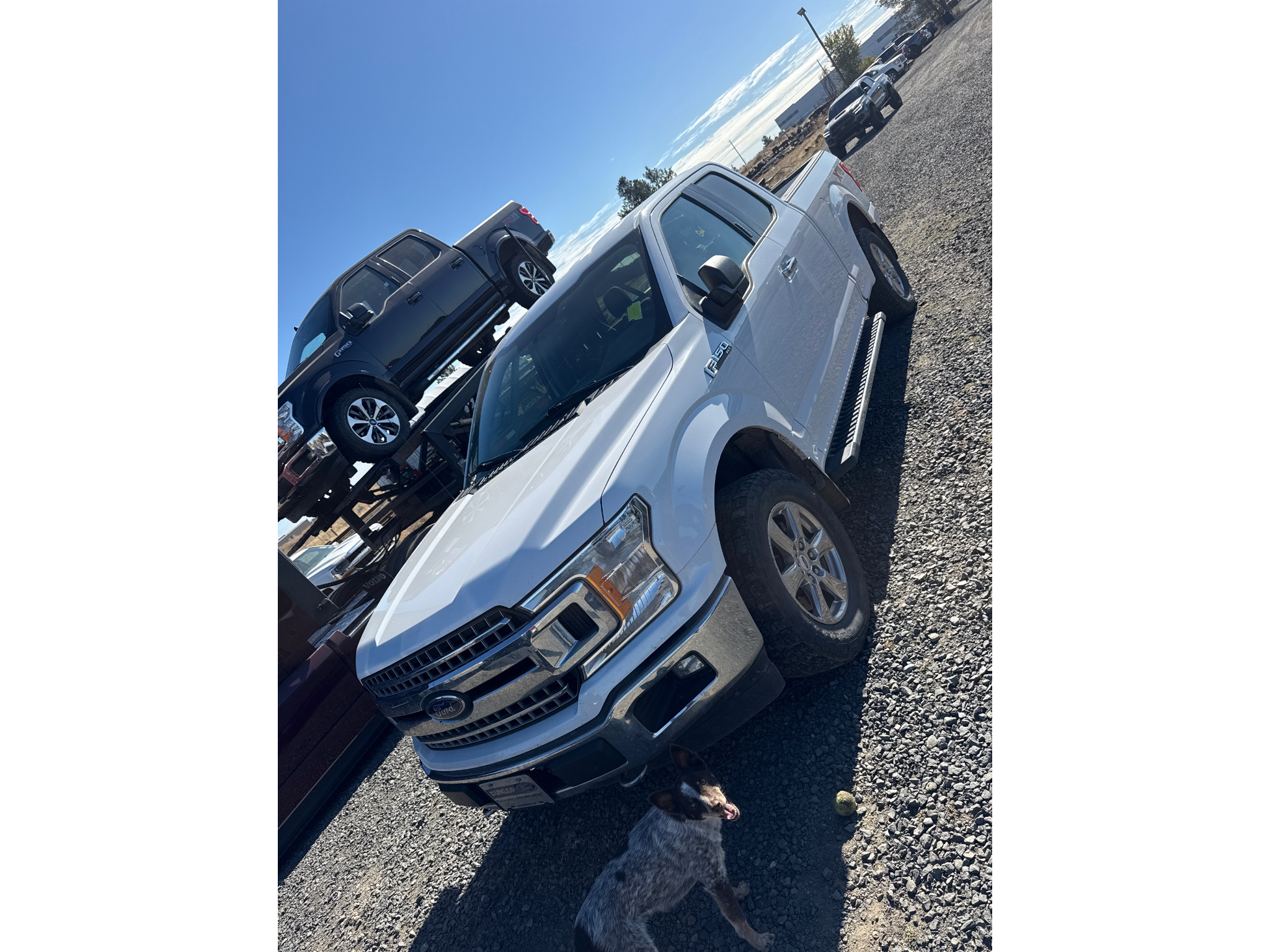 Used 2018 Ford F-150 Cab; Super Cab; Styleside