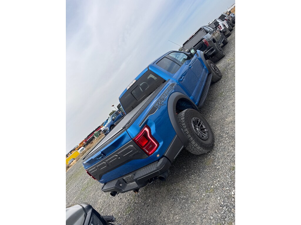 Used 2020 Ford F-150 Raptor Cab; Super Crew