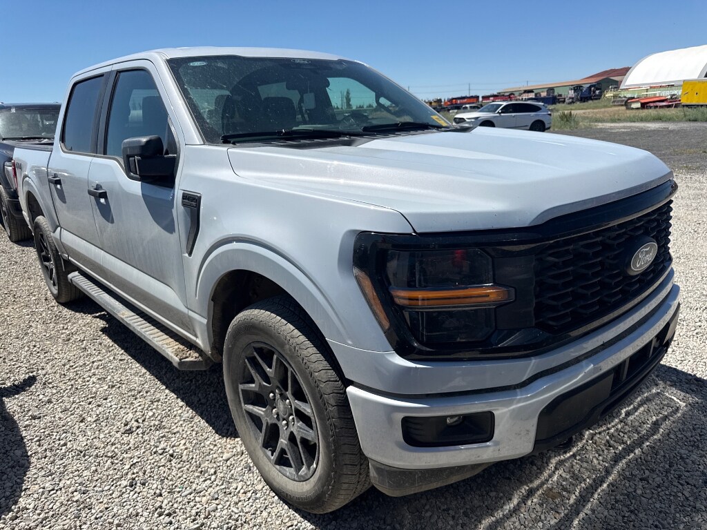 Used 2025 Ford F-150 STX Cab; Super Crew