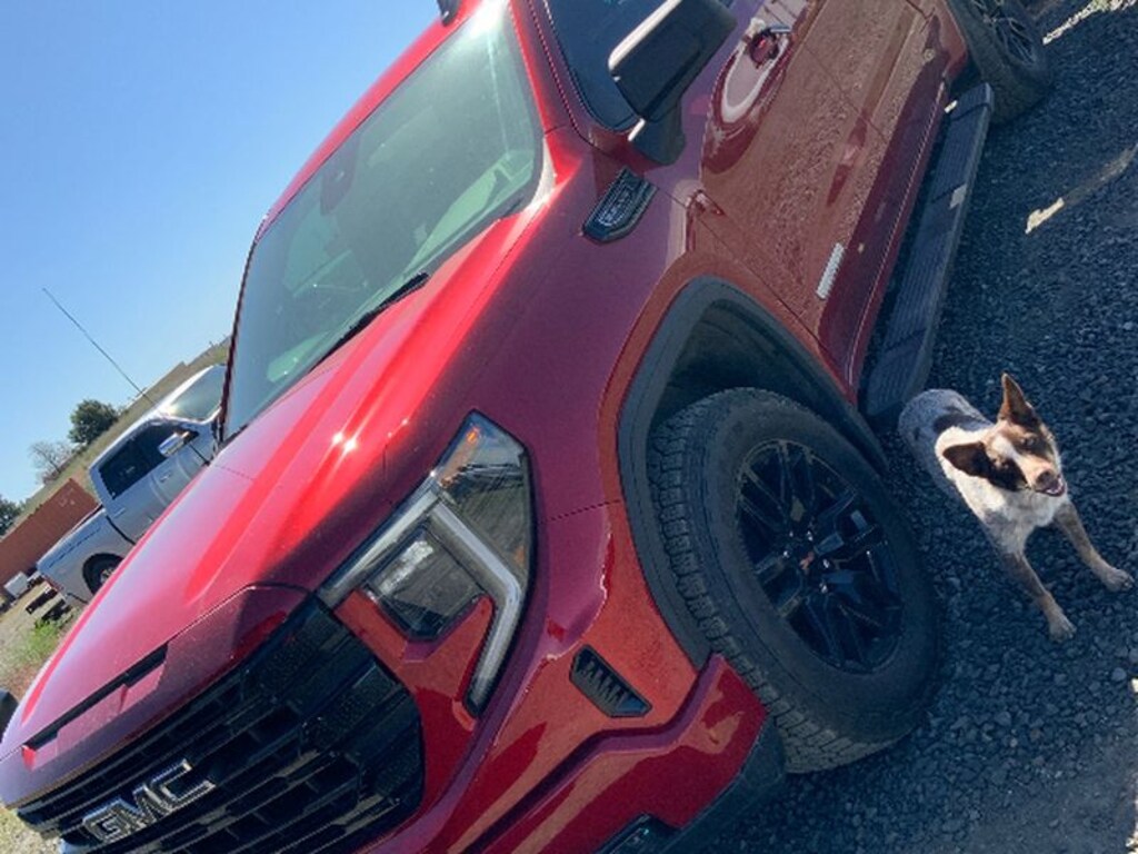 Used 2024 GMC Sierra Elevation Cab; Crew