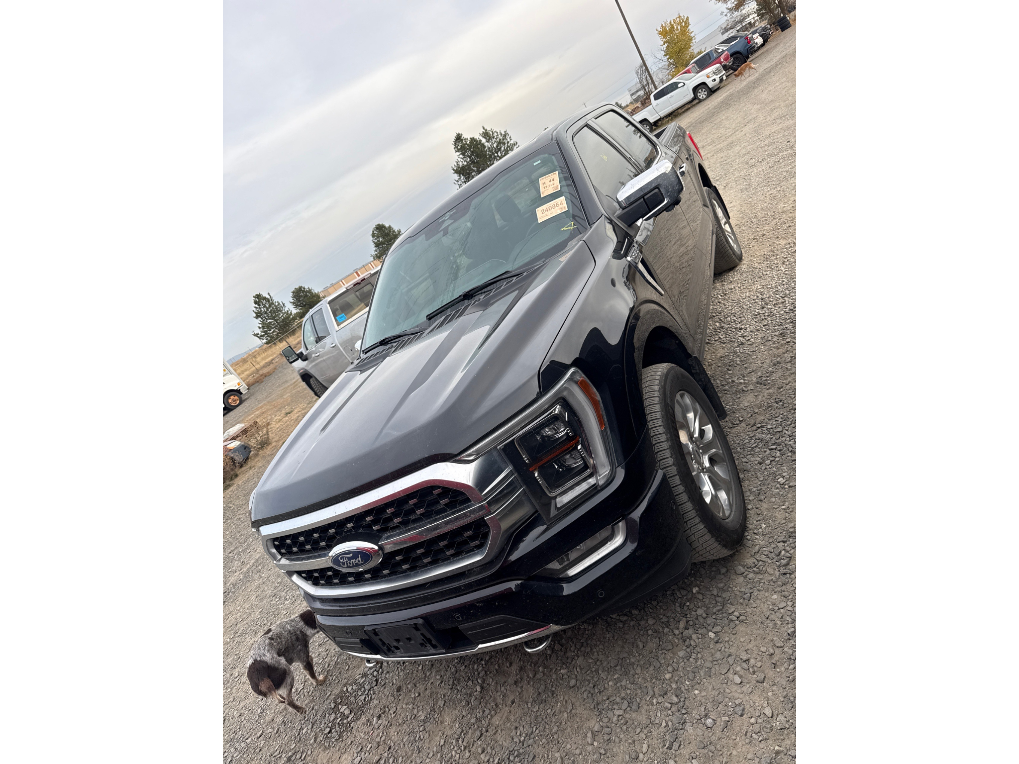 Used 2023 Ford F-150 Cab; Super Crew