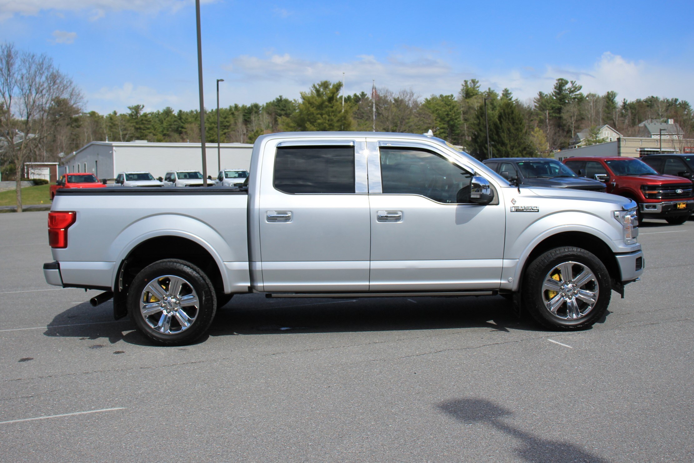 2019 Ford F-150 Platinum photo 4