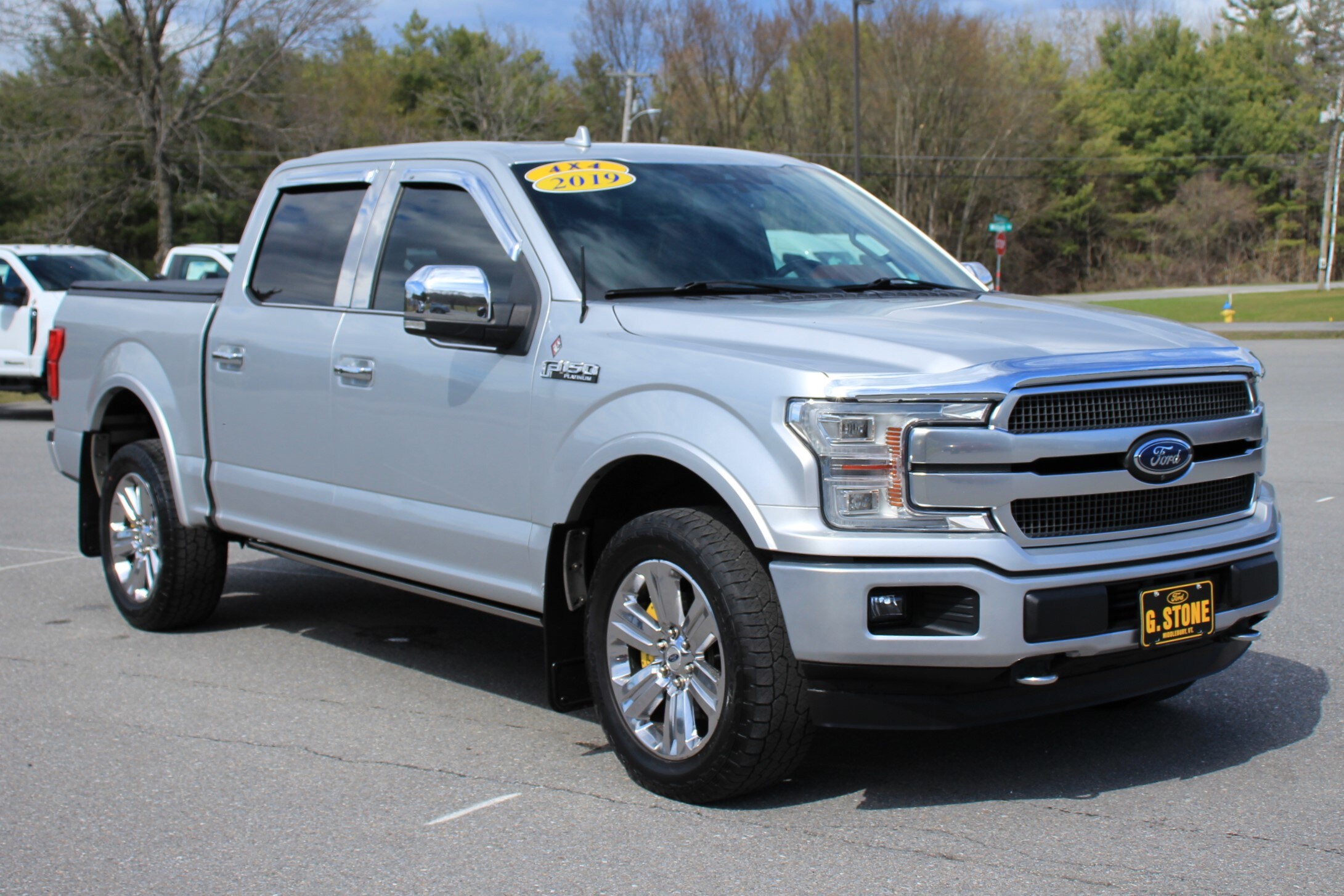 2019 Ford F-150 Platinum photo 3