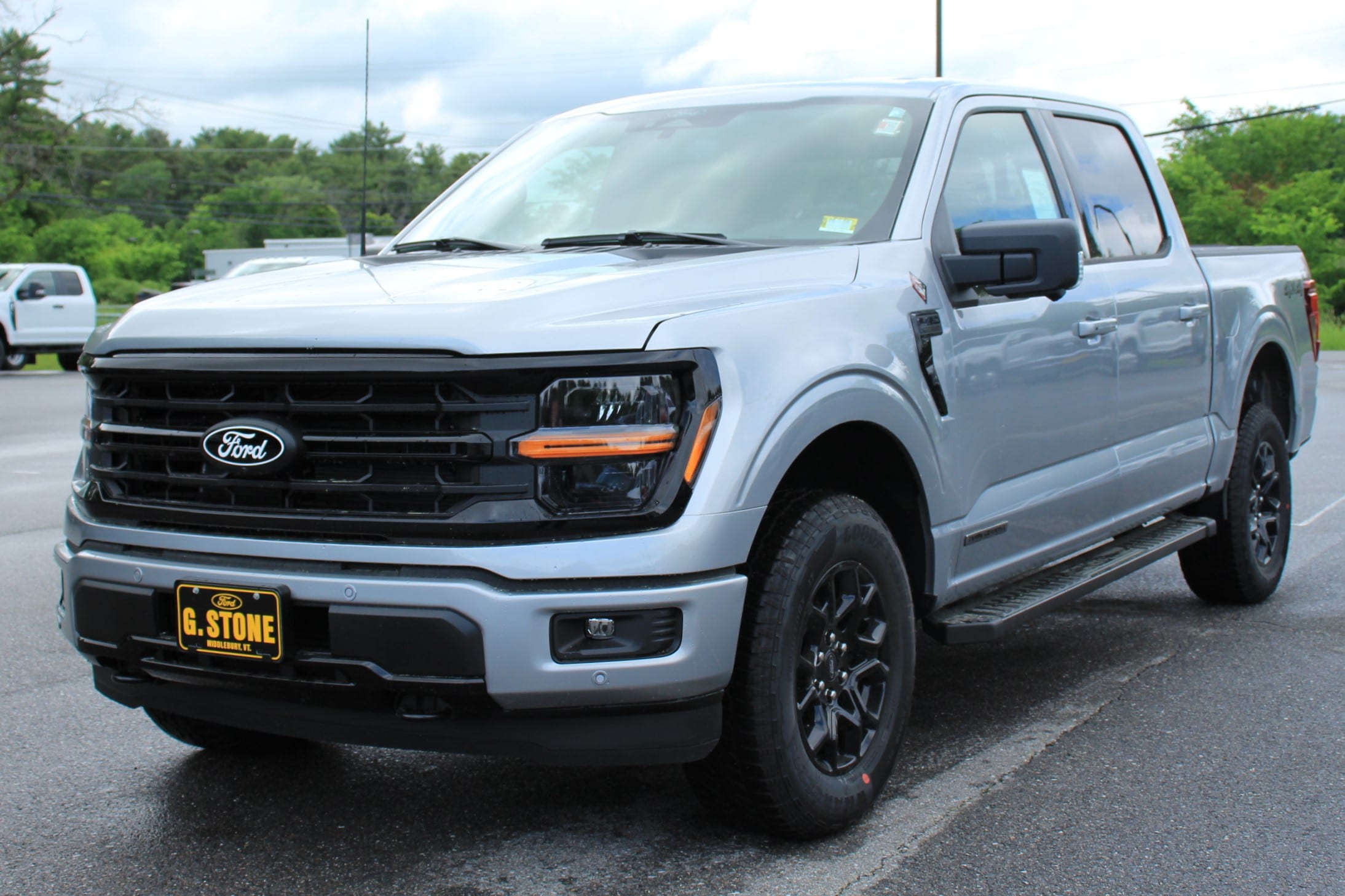 2025 Ford F-150 XLT's photo