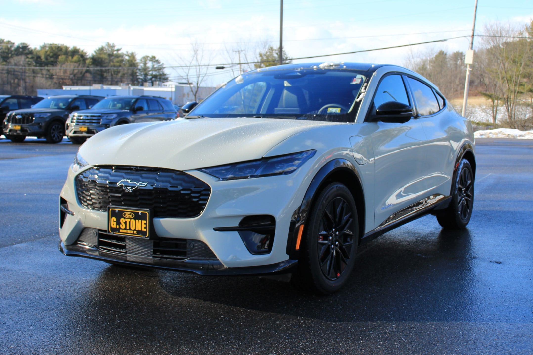 2025 Ford Mustang Mach-E CROSSOVERS 