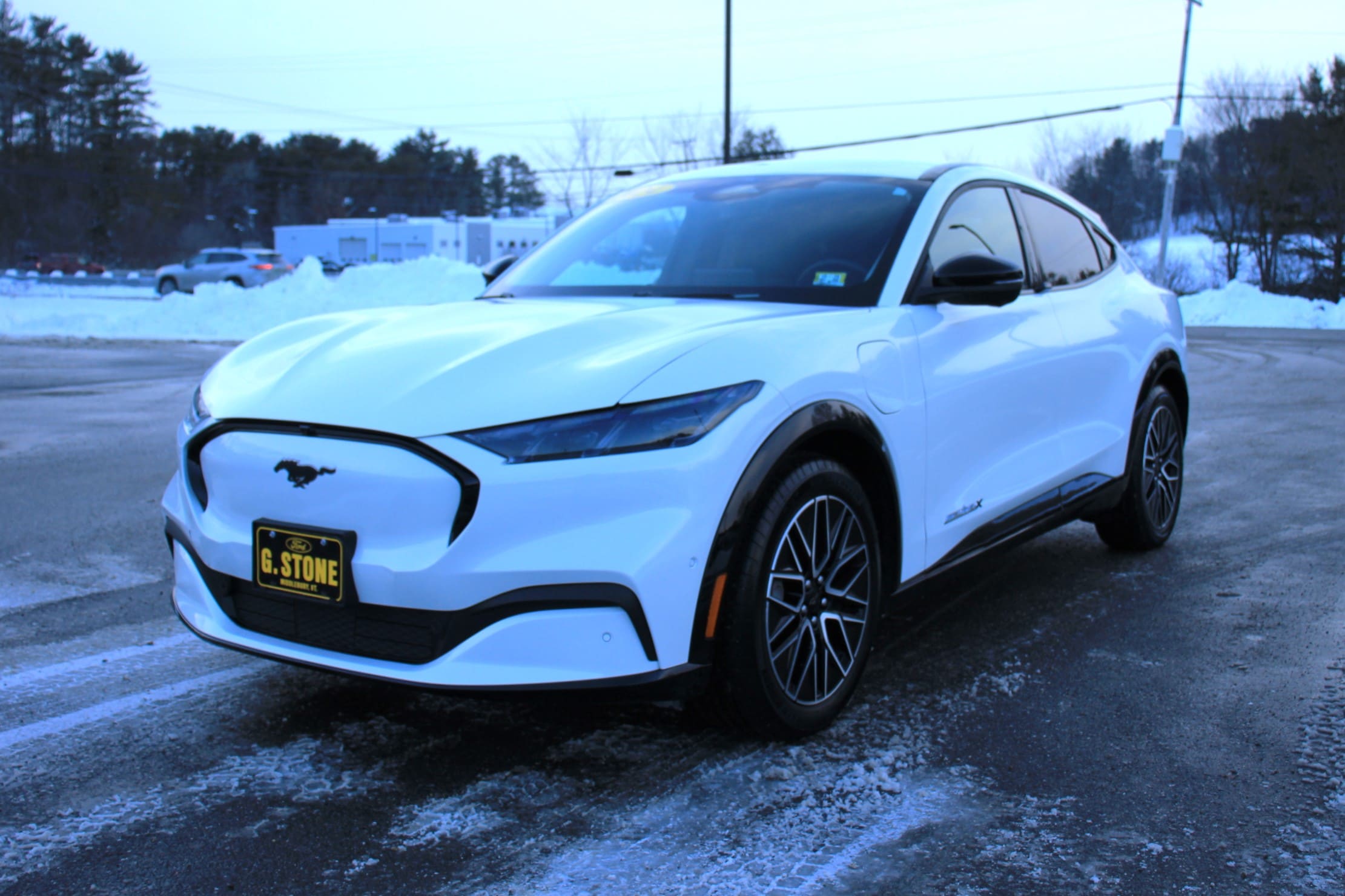 2024 Ford Mustang Mach-E SUV 