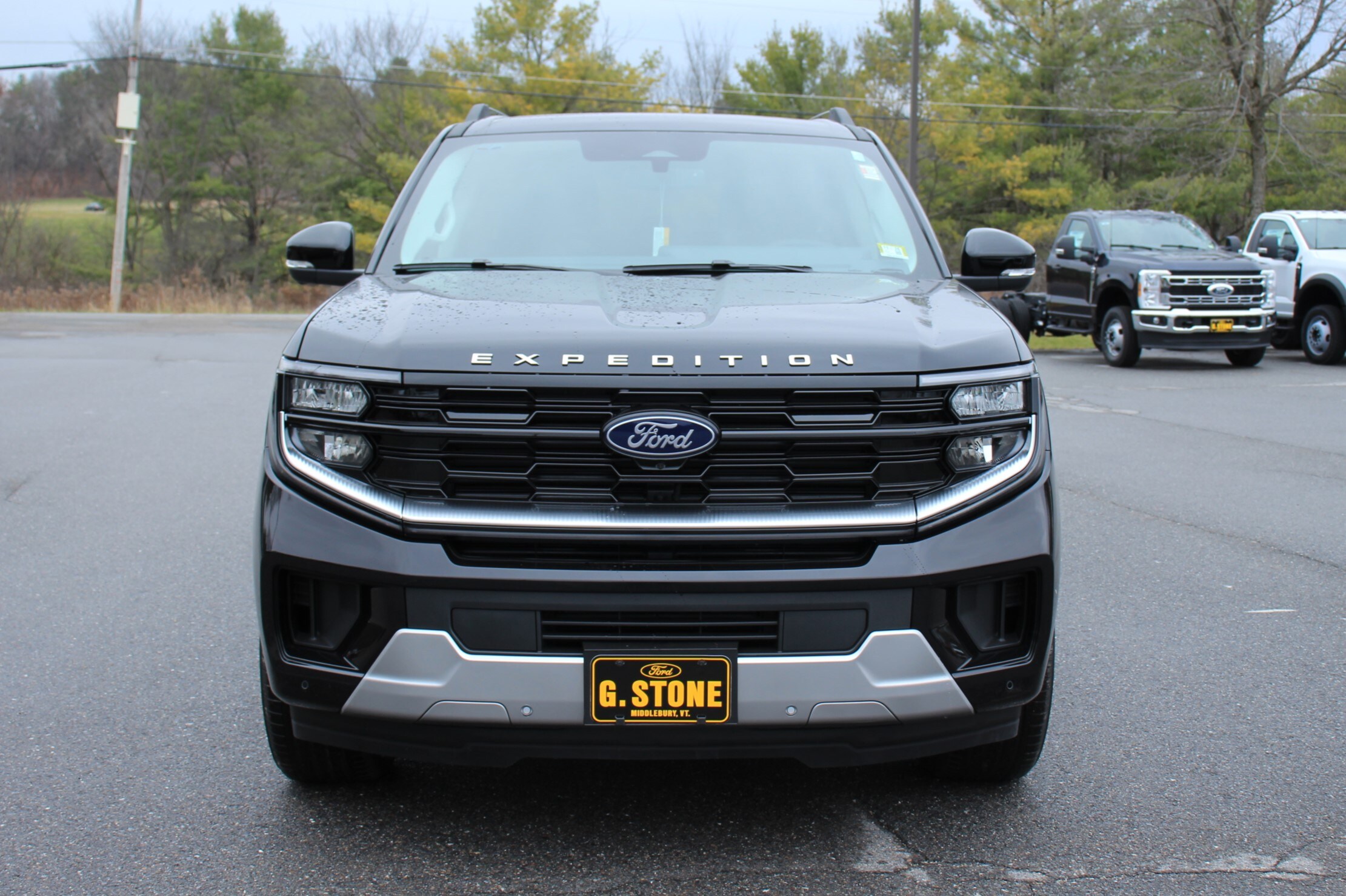 2025 Ford Expedition MAX Platinum photo 2