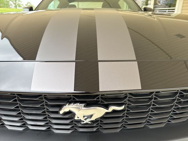 2026 Ford Mustang EcoBoost Fastback - Photo 28