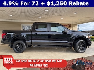 2025 Ford F-150 STX Truck
