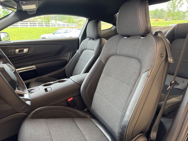 2026 Ford Mustang EcoBoost Fastback - Photo 13