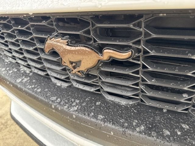 2026 Ford Mustang EcoBoost Fastback - Photo 10