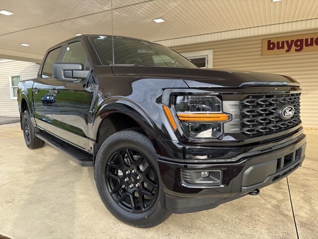 2025 Ford F-150 STX photo 2