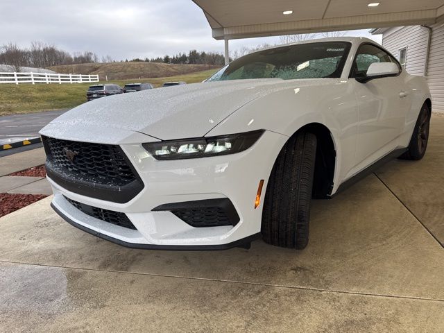 2026 Ford Mustang EcoBoost Fastback - Photo 8