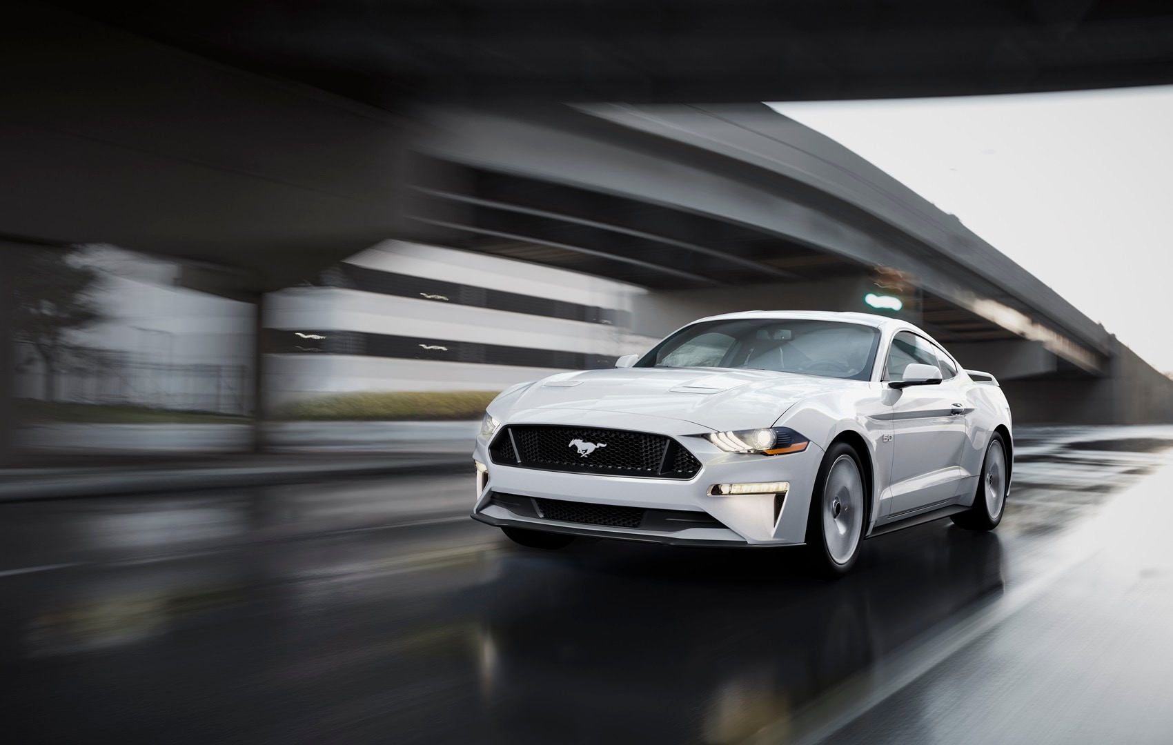 Used Ford Dealer near Carrollton OH