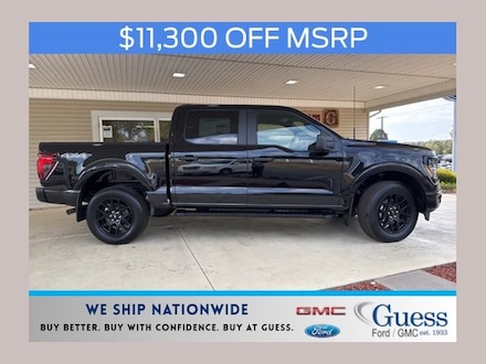 2025 Ford F-150 STX Truck