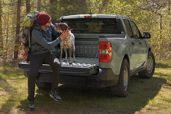 What Our Ford Vehicle Comparisons Provide