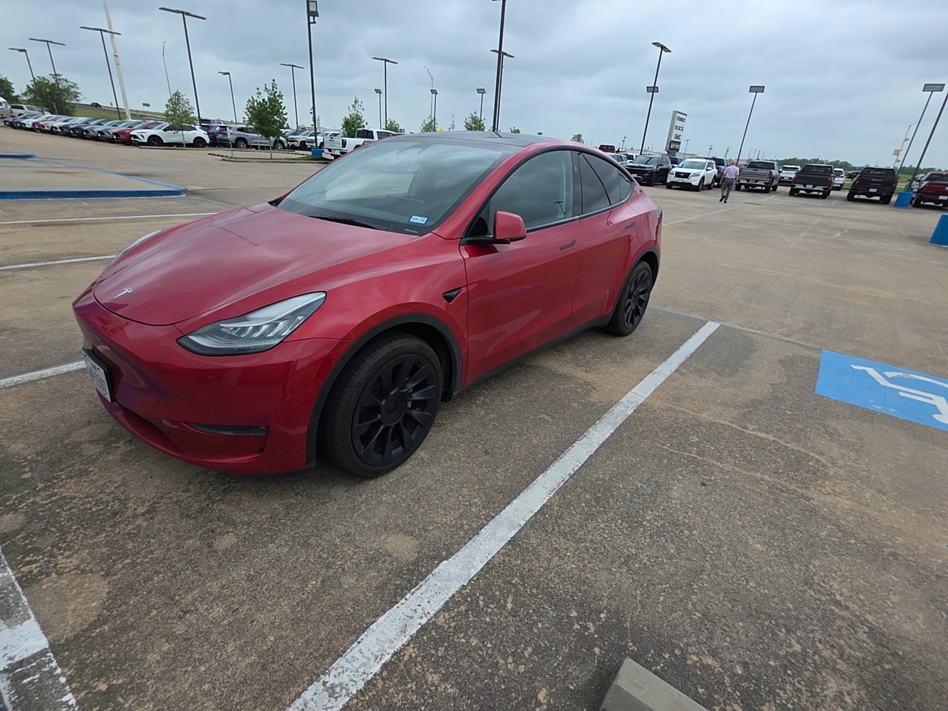 2023 Tesla Model Y's photo