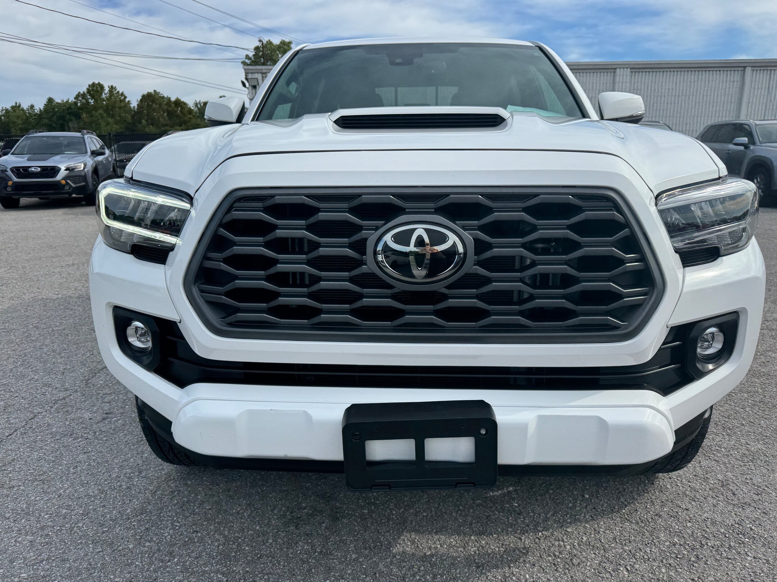2023 Toyota Tacoma TRD Sport photo 3