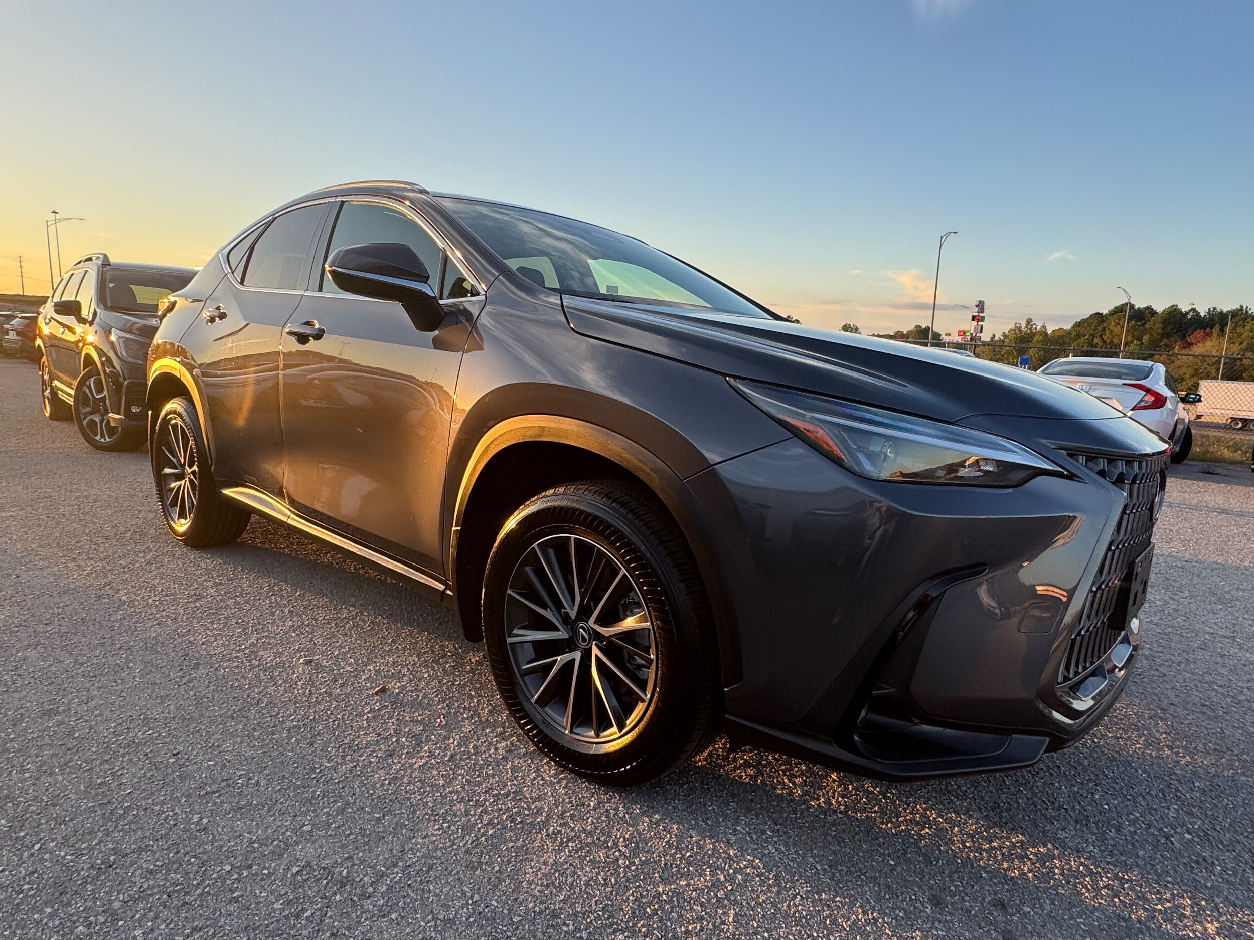 2025 Lexus NX 250 Premium photo 3