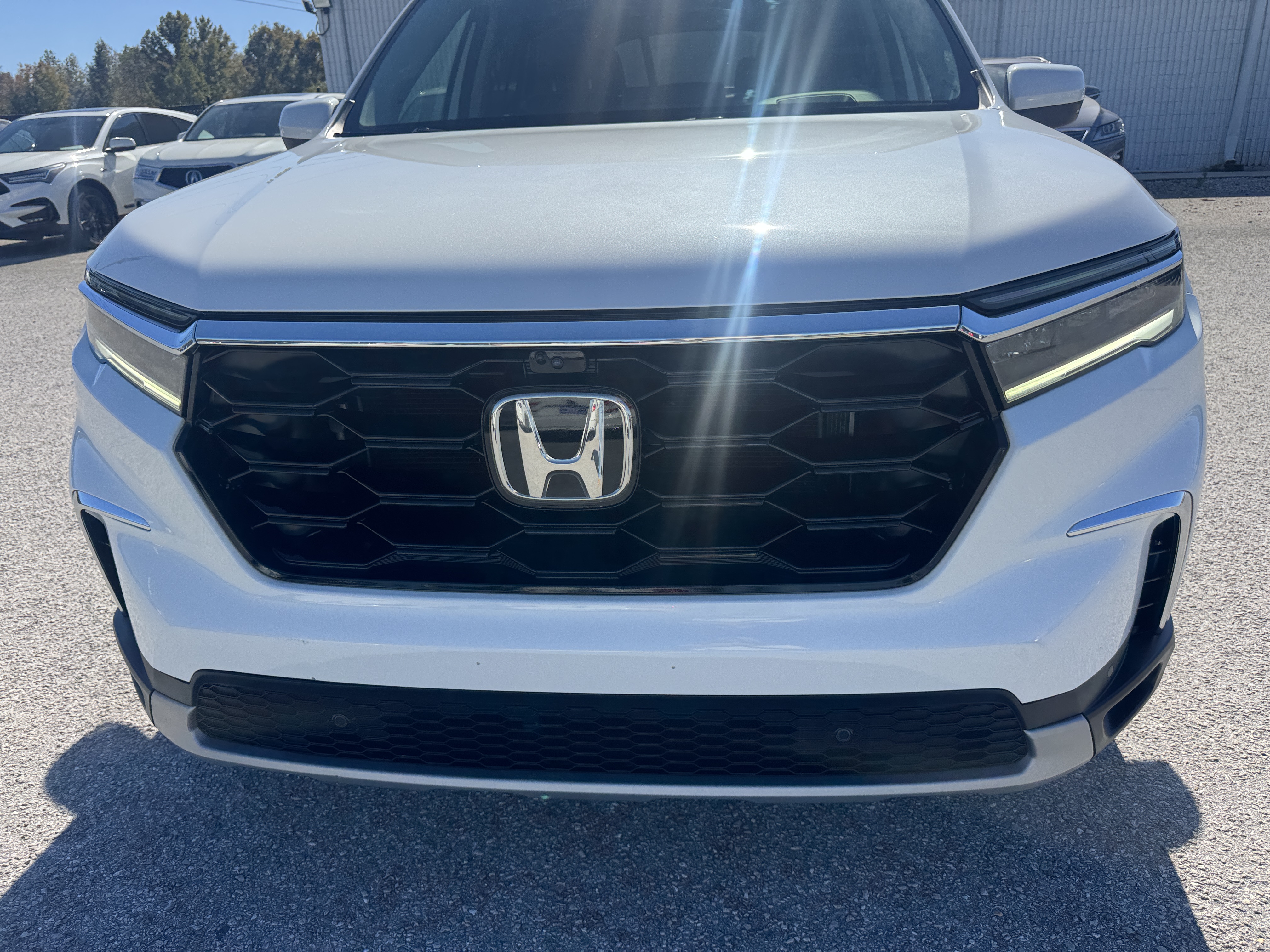 Used 2024 Honda Pilot Elite SUV