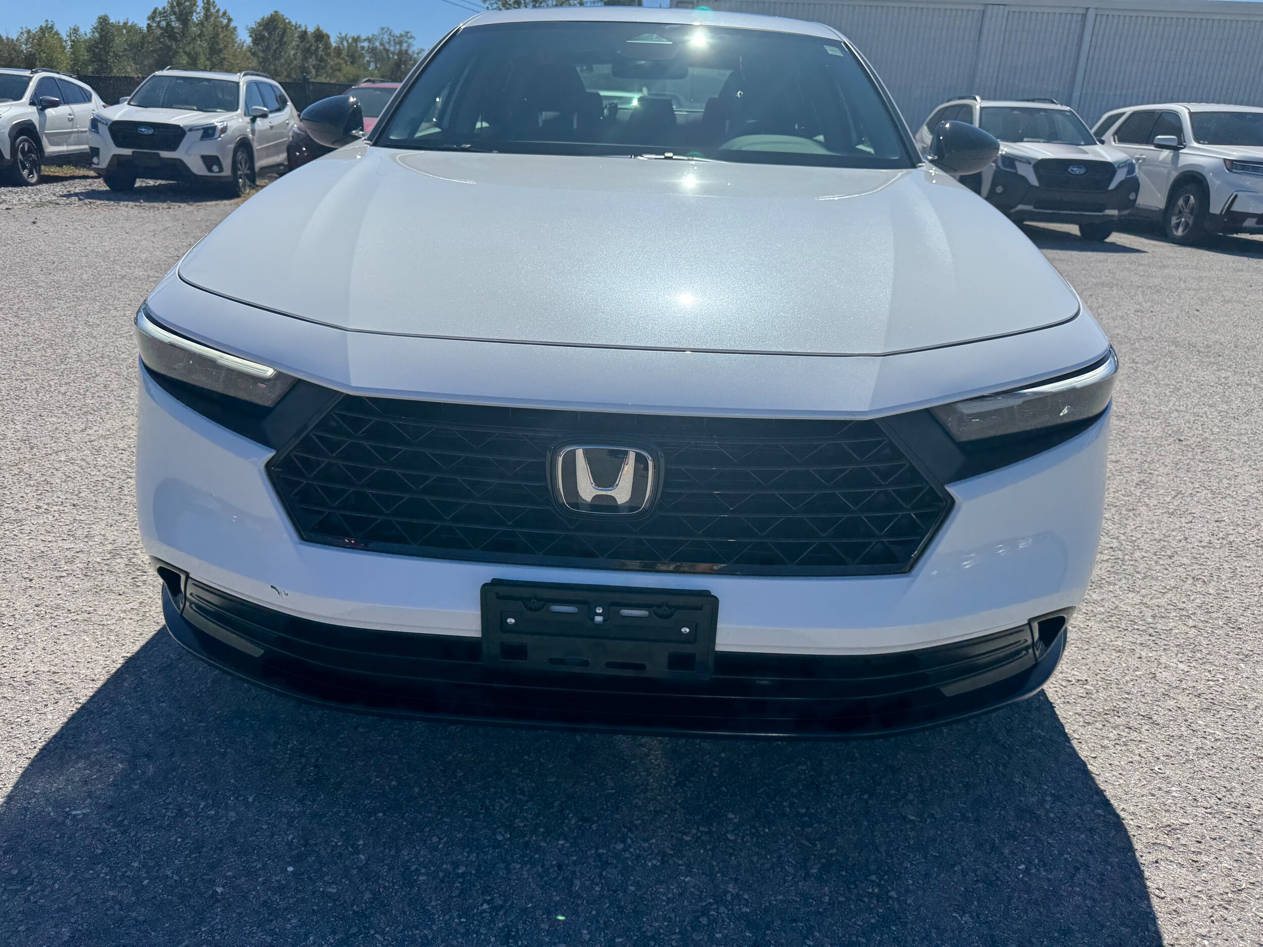 2025 Honda Accord SE photo 4