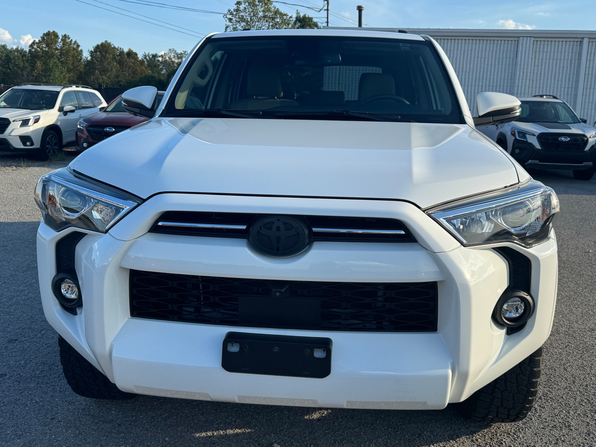 2023 Toyota 4Runner SR5 Premium photo 2