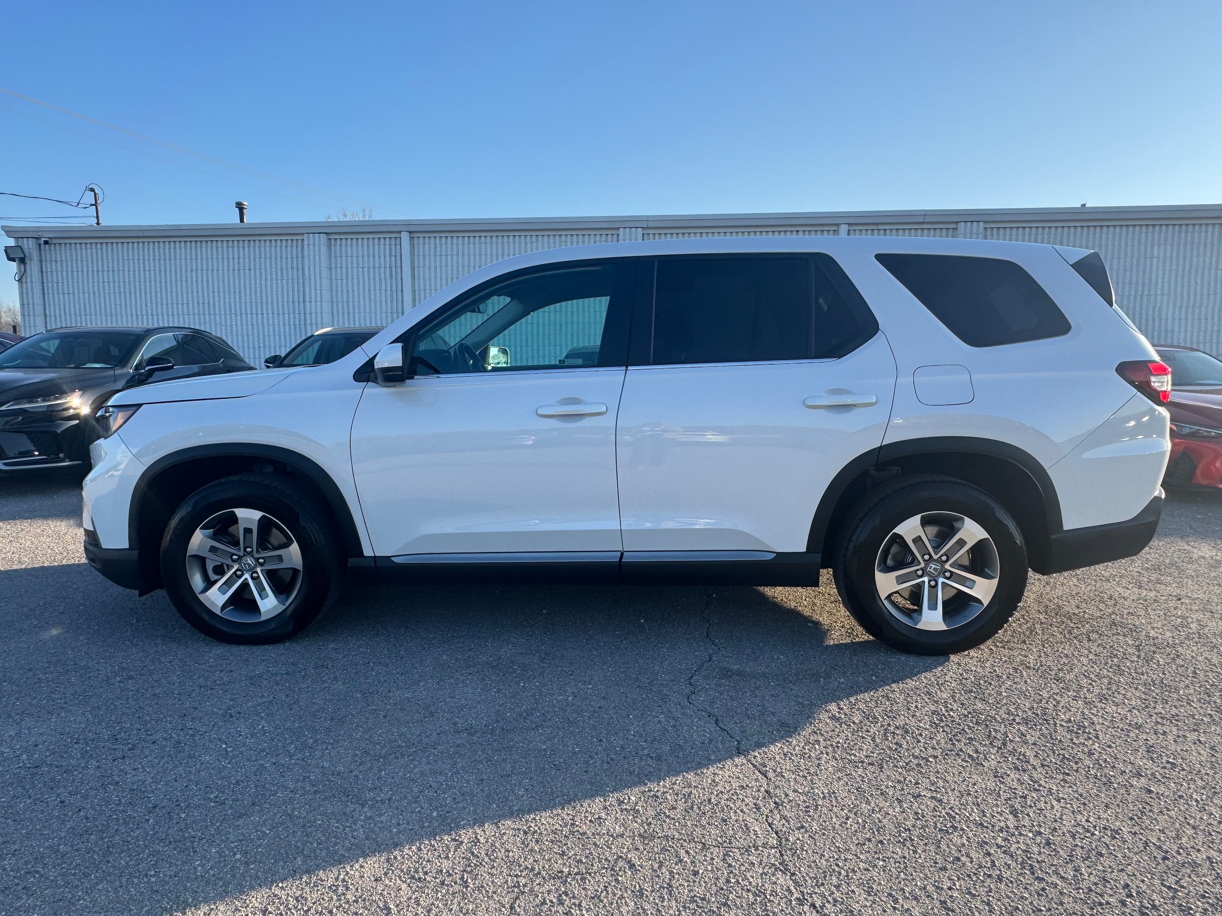 2023 Honda Pilot EX-L 8-Occupant AWD's photo