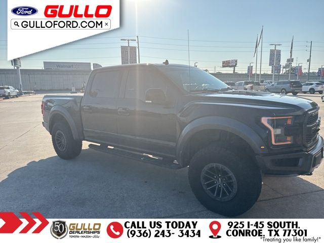2019 Ford F-150 Raptor photo 2
