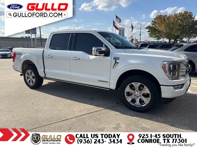 2023 Ford F-150 Platinum photo 2