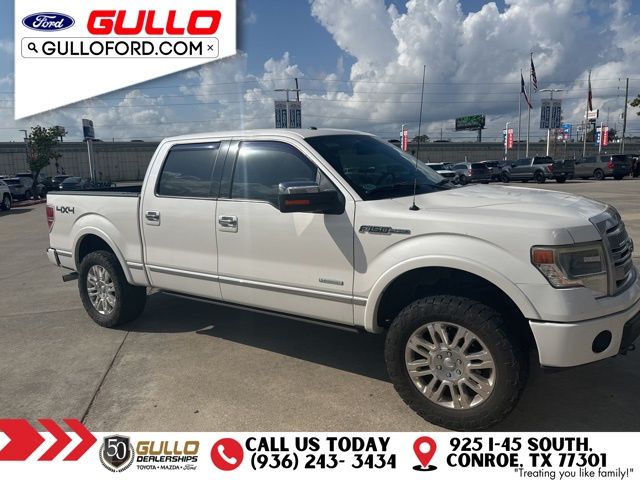 2013 Ford F-150 Platinum photo 2