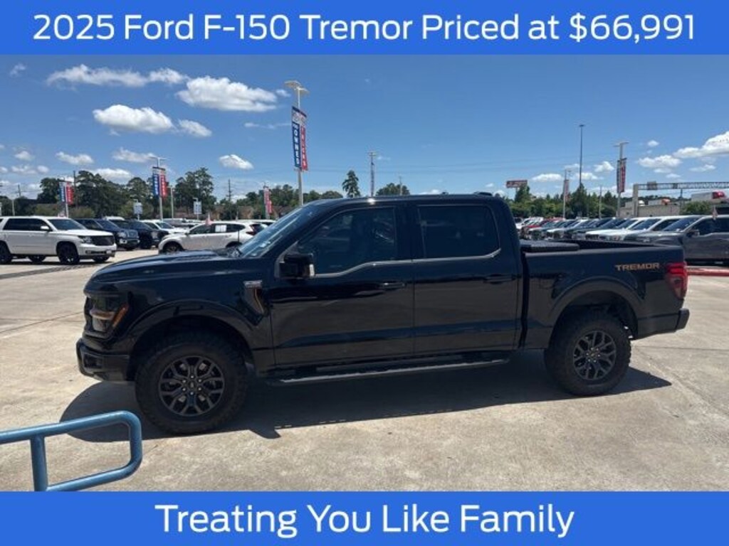 Used 2025 Ford F-150 Tremor Truck
