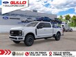  Ford F-250SD