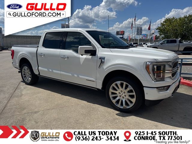 2021 Ford F-150 Limited photo 2