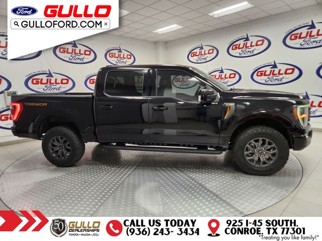 2022 Ford F-150 Tremor photo 2