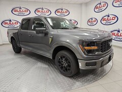 2025 Ford F-150 STX Truck
