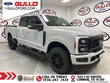  Ford F-250SD
