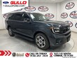  Ford Expedition Max
