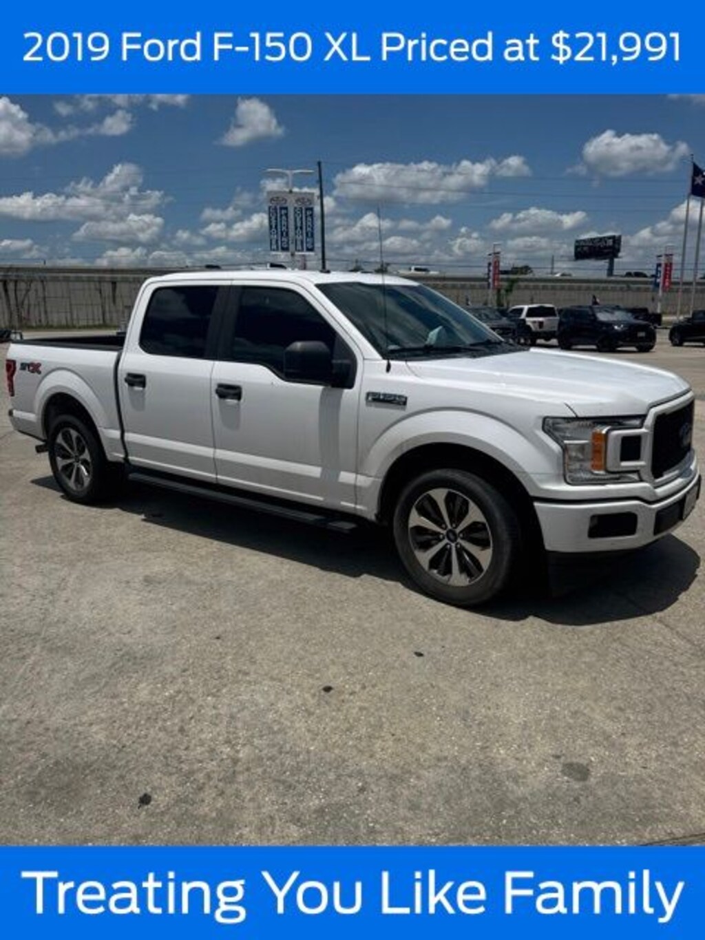 Used 2019 Ford F-150 XL Truck
