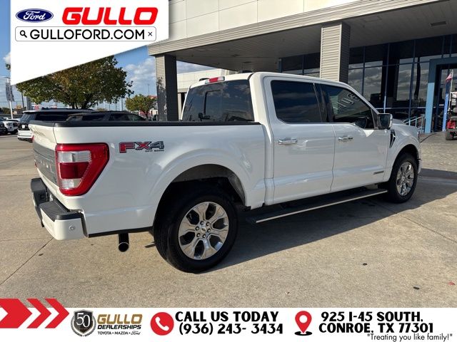 2023 Ford F-150 Platinum photo 3