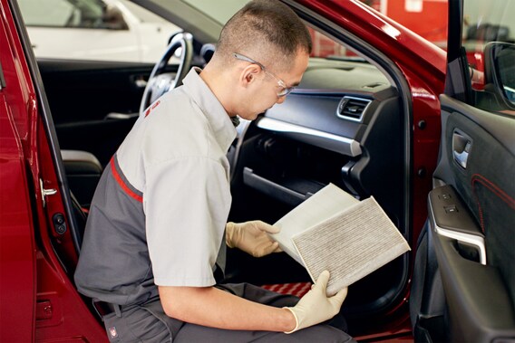 Cabin Air Filters For Sale In Conroe Tx Gullo Toyota Parts