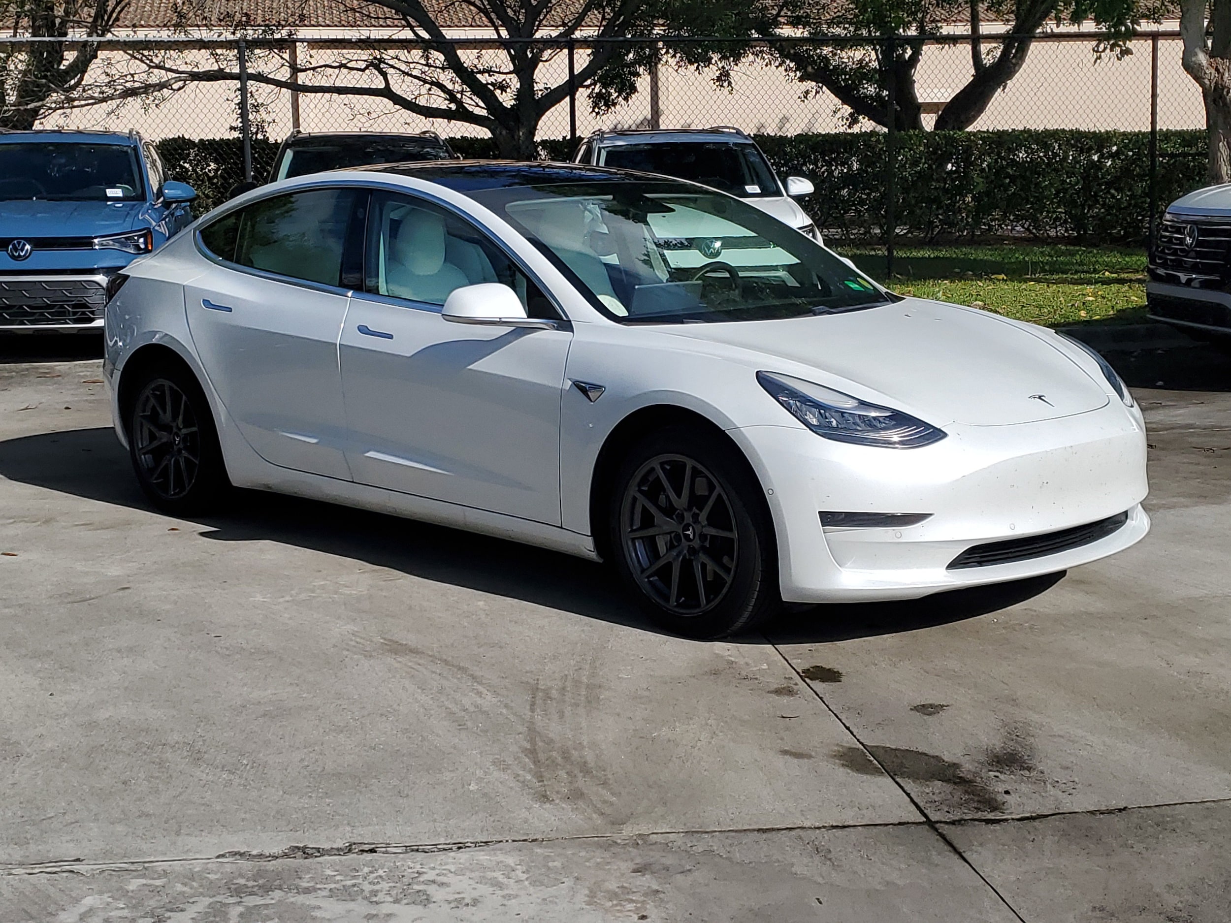 2020 Tesla Model 3 Base's photo
