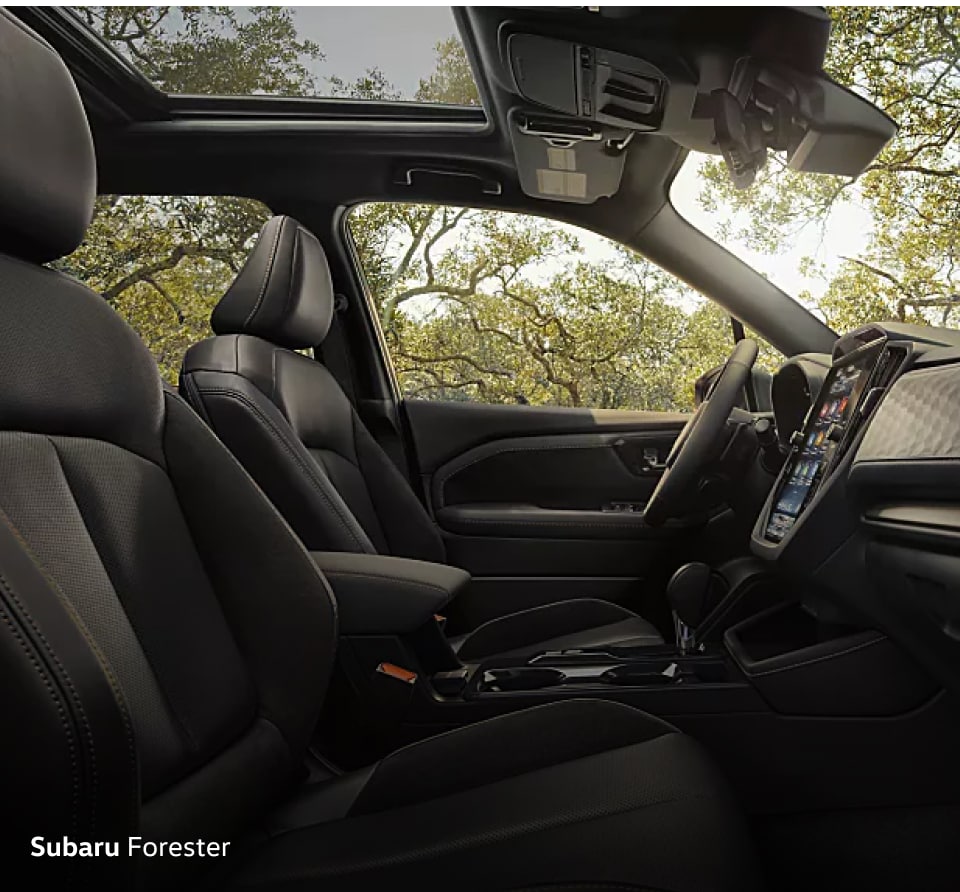 Interior Comparison