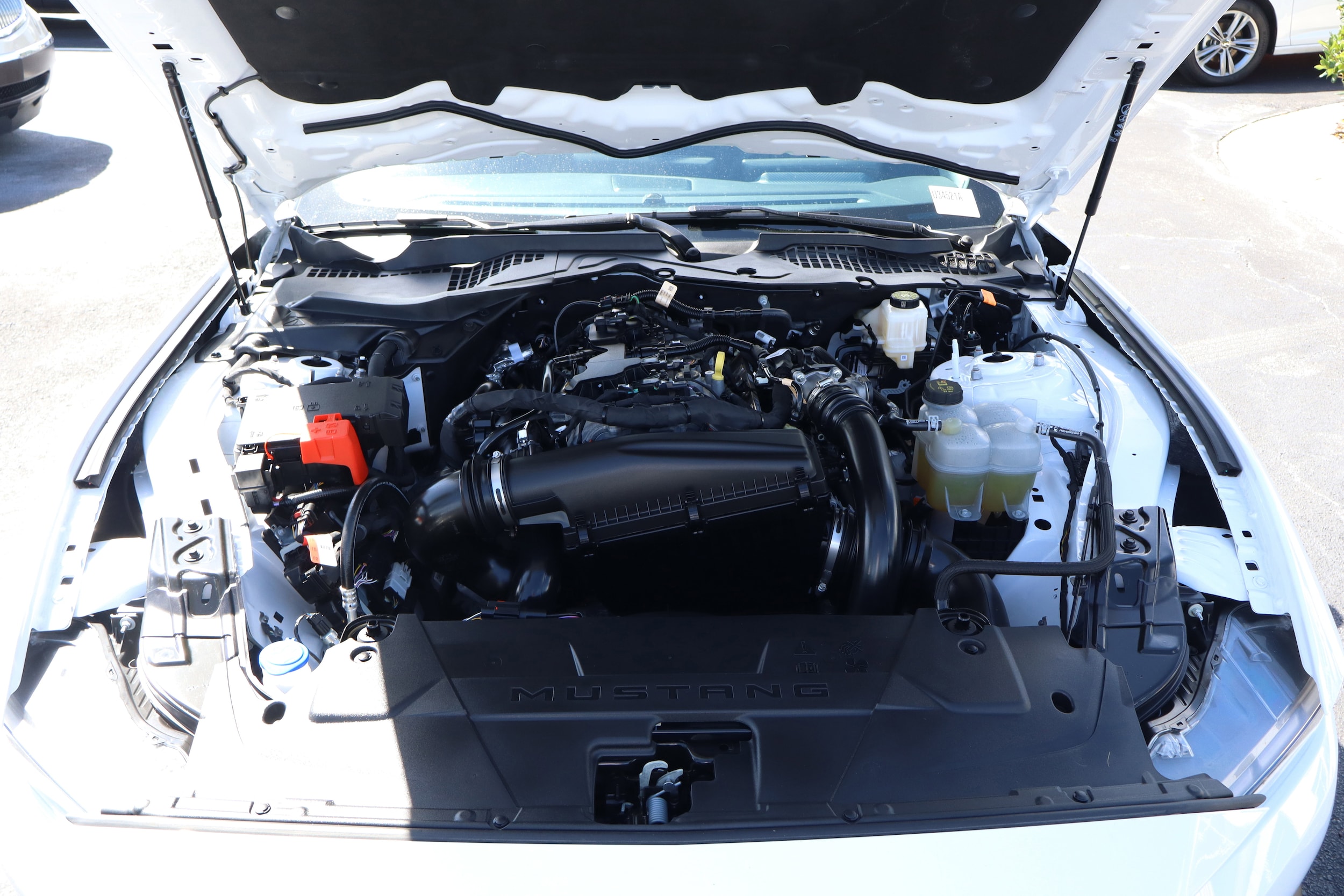 2025 Ford Mustang EcoBoost - Photo 26