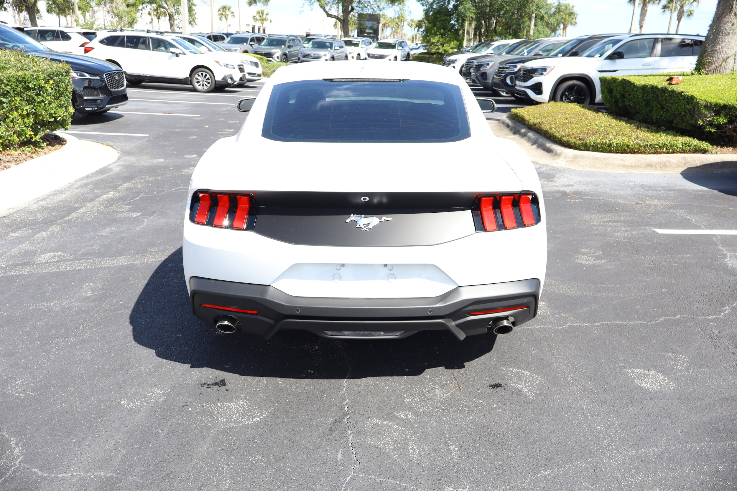 2025 Ford Mustang EcoBoost - Photo 6