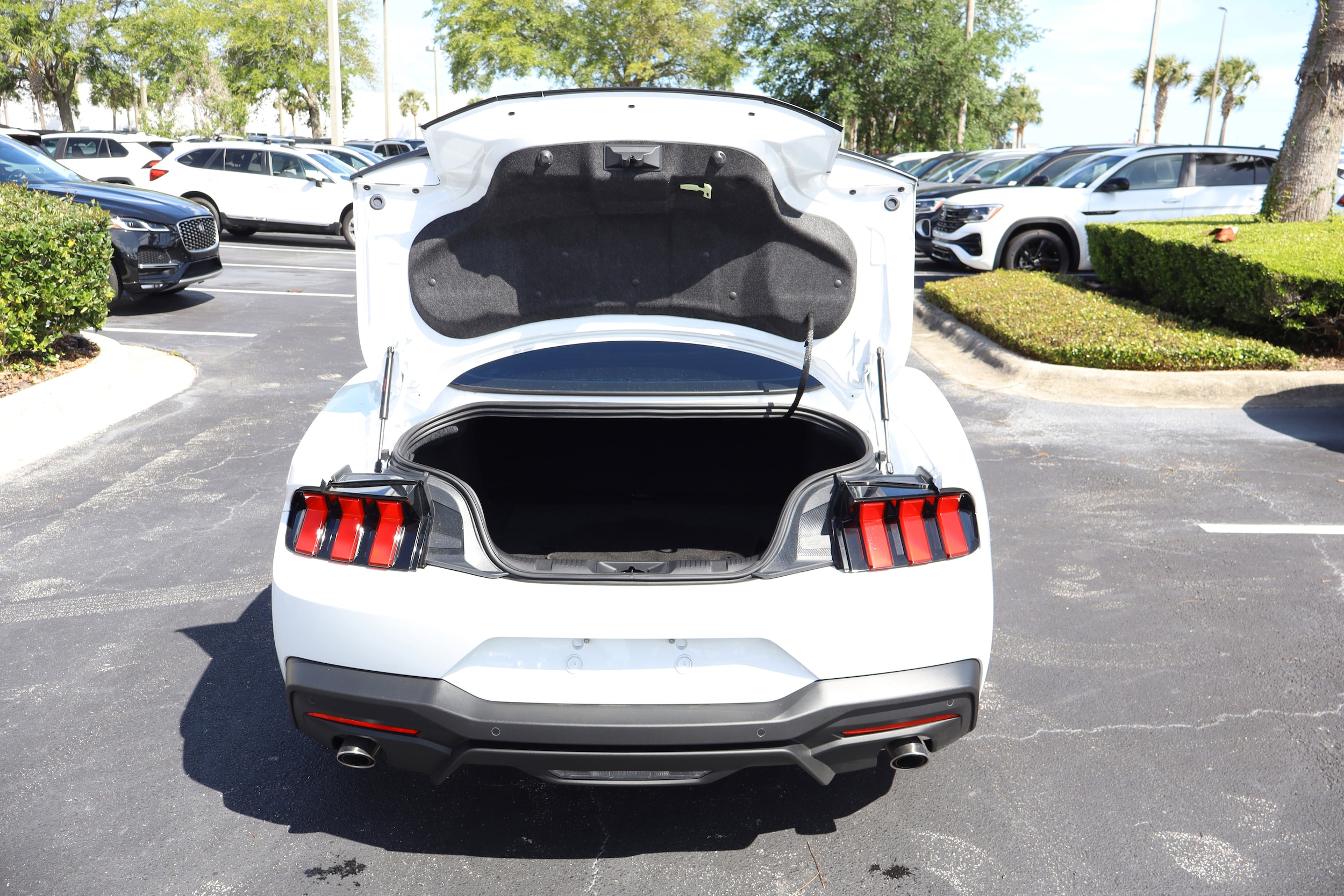 2025 Ford Mustang EcoBoost - Photo 10