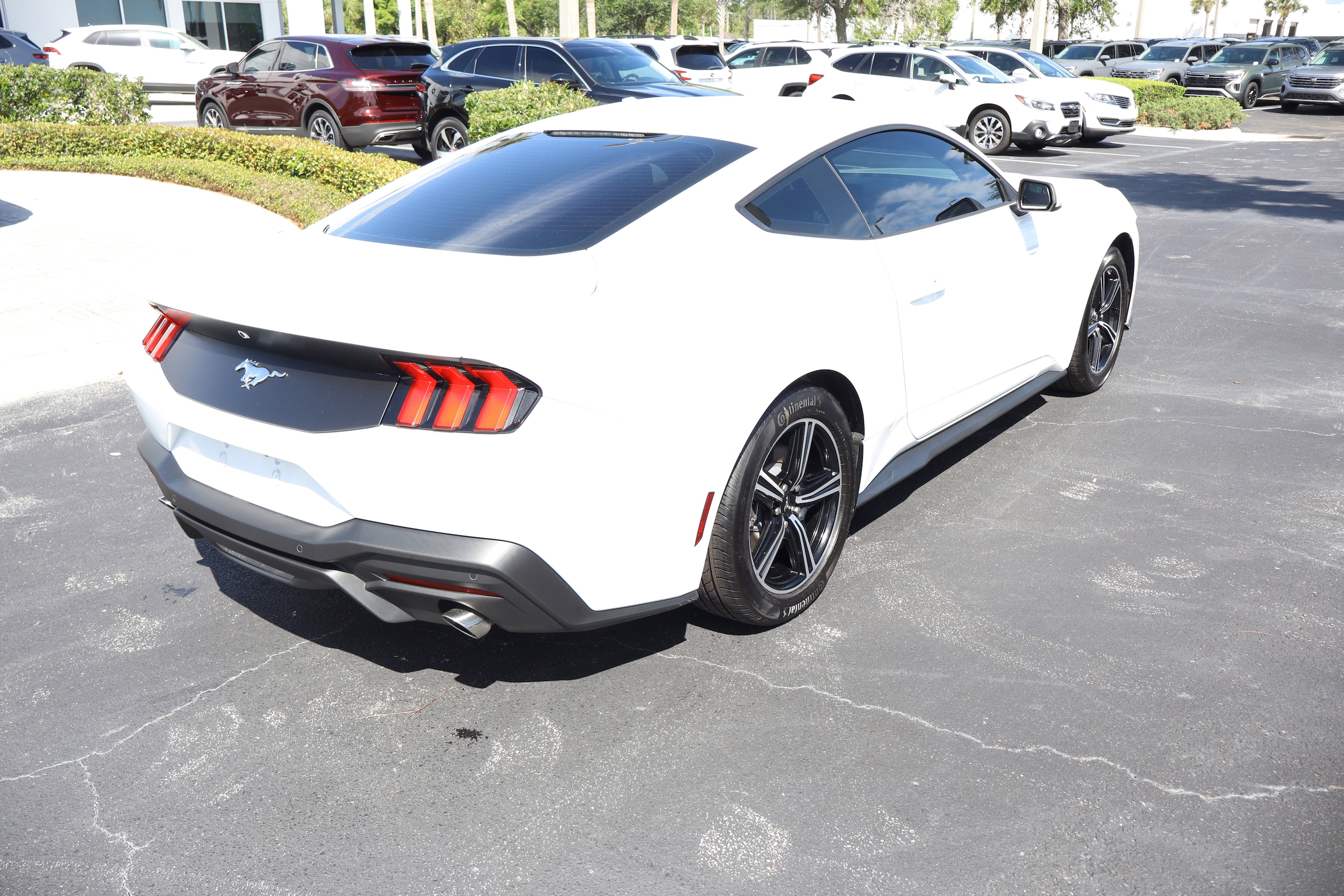 2025 Ford Mustang EcoBoost - Photo 7