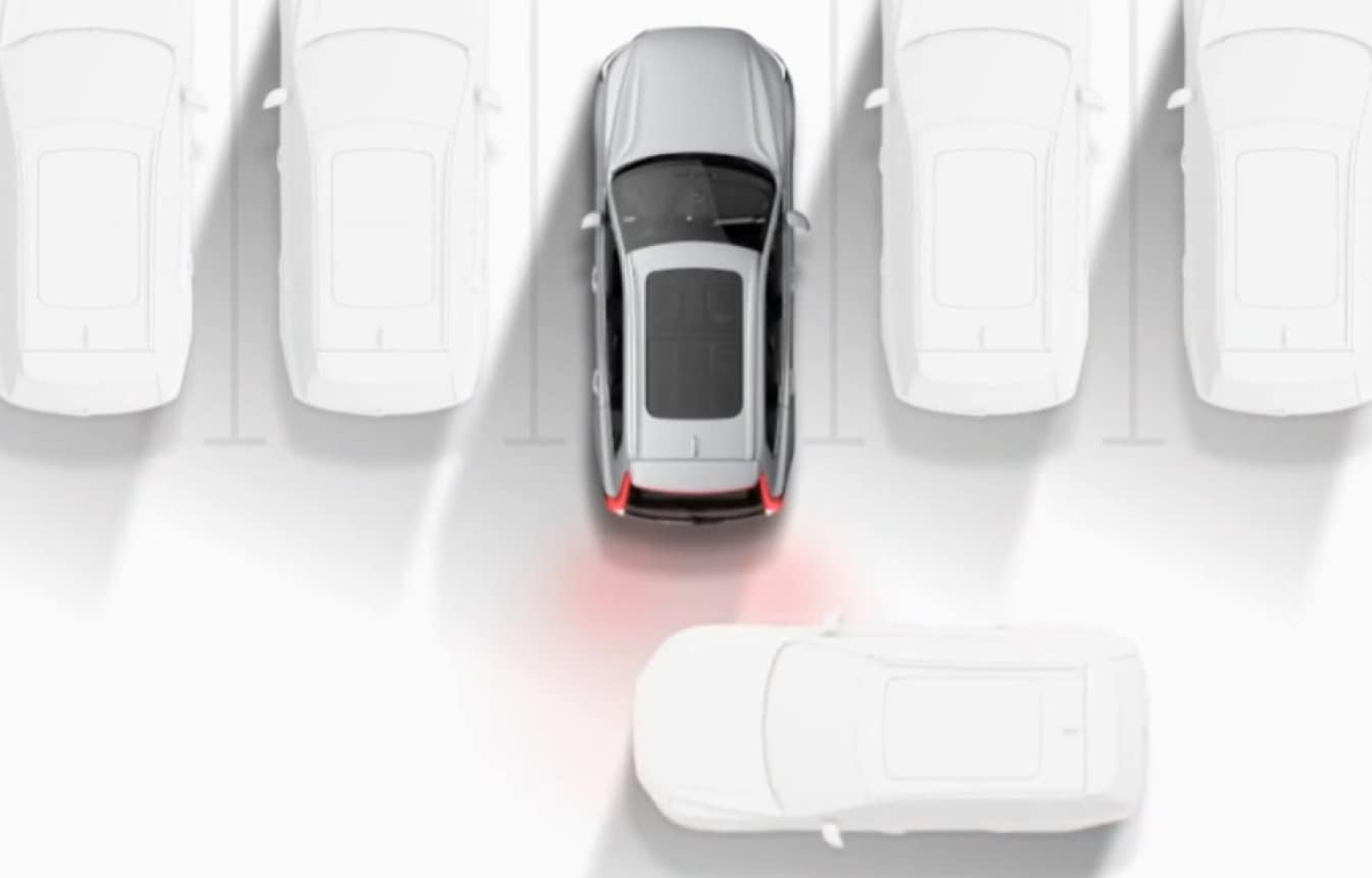 Park Assist System